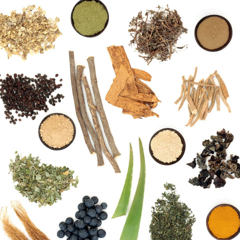 Adopting Adaptogens